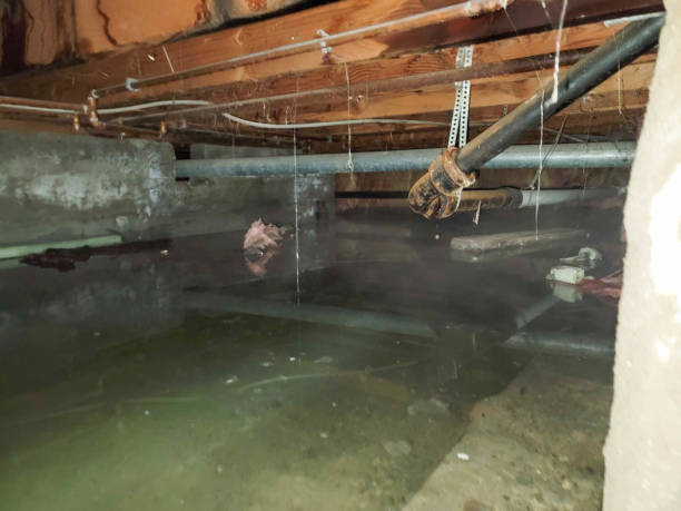Reliable New Baltimore, OH Water damage restoration Solutions