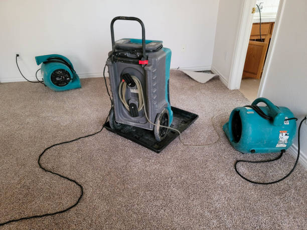 Best Water damage restoration experts  in New Baltimore, OH