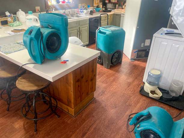 Best Ceiling water damage repair  in New Baltimore, OH