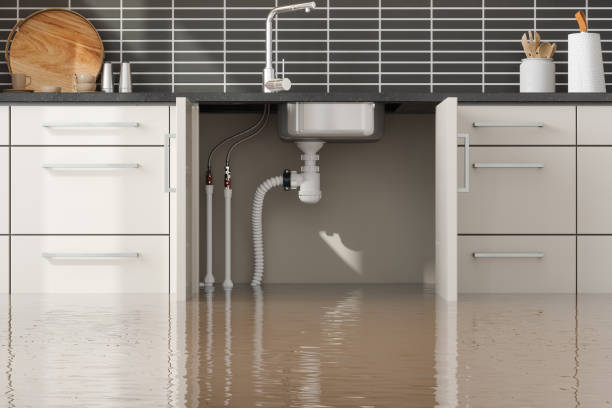  New Baltimore, OH Water damage restoration Pros